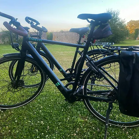 Peaceful Near Saint-savin Abbey