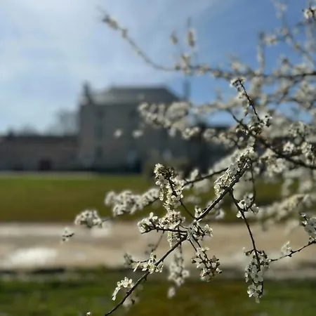 Peaceful Near Saint-savin Abbey *