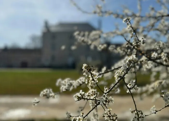 Peaceful Near Saint-savin Abbey *